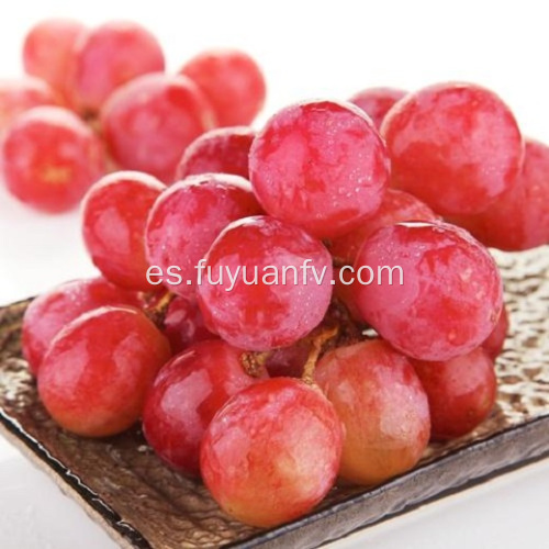 nuevas uvas rojas frescas